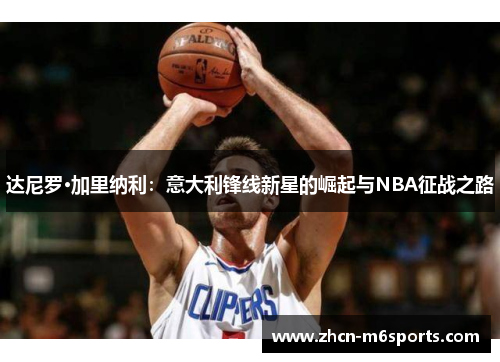 达尼罗·加里纳利：意大利锋线新星的崛起与NBA征战之路