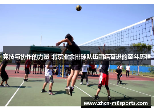 竞技与协作的力量 北京业余排球队伍团结奋进的奋斗历程