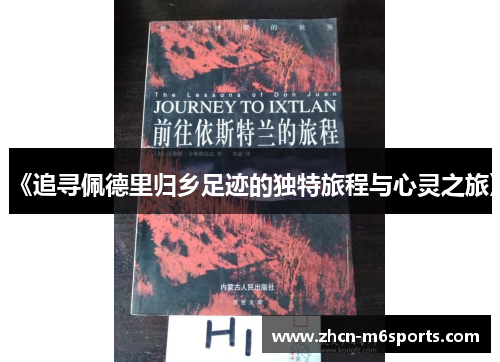 《追寻佩德里归乡足迹的独特旅程与心灵之旅》