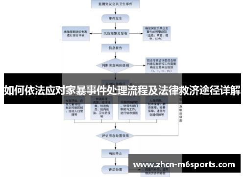 如何依法应对家暴事件处理流程及法律救济途径详解