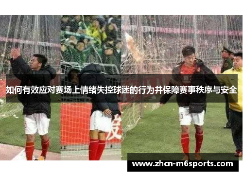 如何有效应对赛场上情绪失控球迷的行为并保障赛事秩序与安全