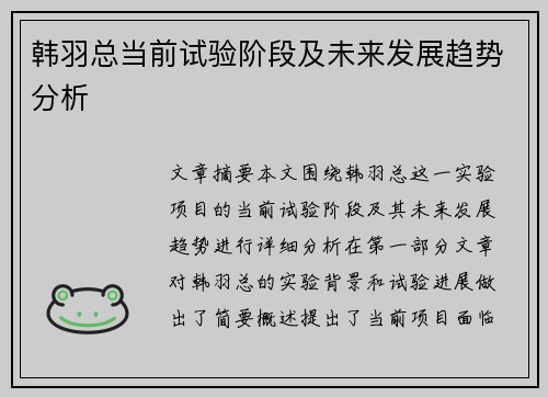 韩羽总当前试验阶段及未来发展趋势分析